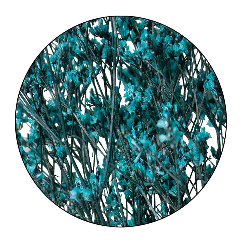 モノ・インターナショナル MONO　プリザーブドフラワー GPSS-05　リモニューム シアン 1袋（ご注文単位1袋）【直送品】