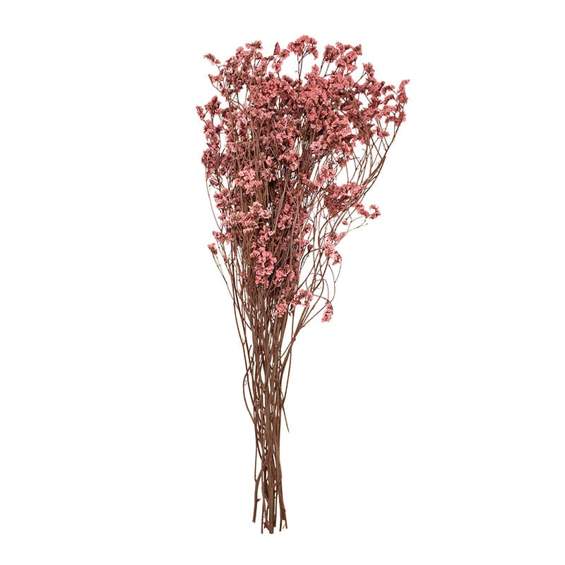 モノ・インターナショナル プリザーブドフラワー　リモニューム ライトピンク GPSS-08 1束（ご注文単位1束）【直送品】