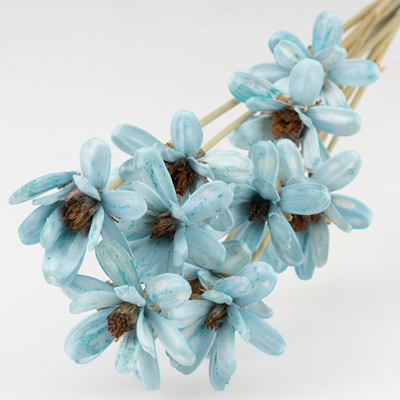 モノ・インターナショナル シードフラワー ライトブルー GPSD-04 1束(ご注文単位1束)【直送品】