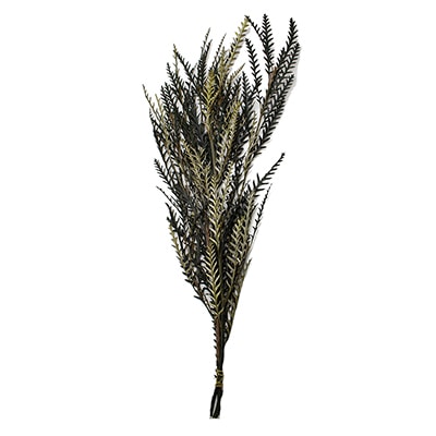 モノ・インターナショナル MONO　プリザーブドフラワー GPKL-01　グレビレア アイバンフォー　ナチュラルグリーン 1袋（ご注文単位1袋）【直送品】