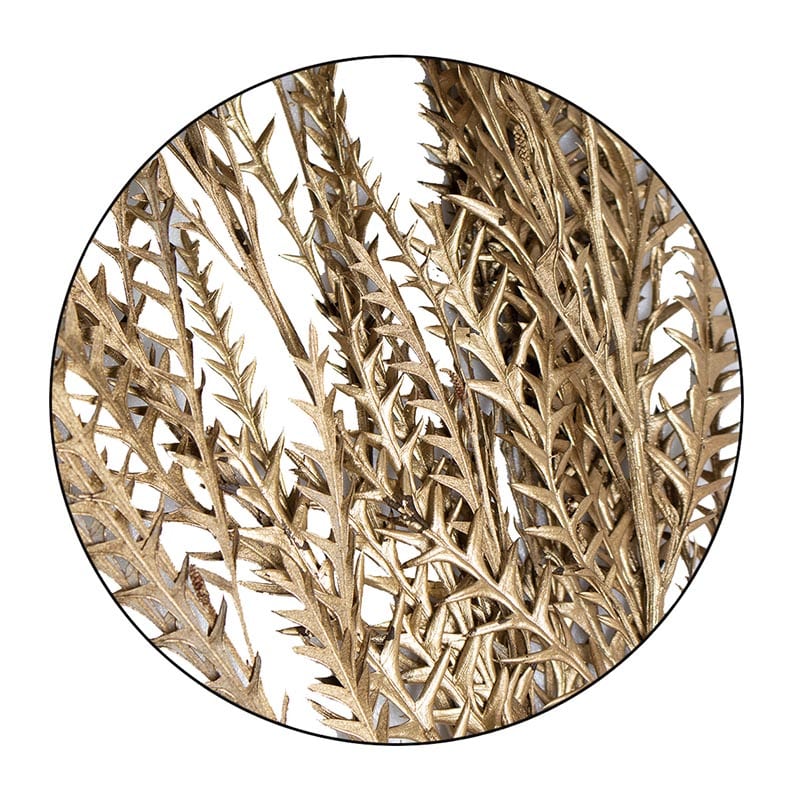 モノ・インターナショナル MONO　プリザーブドフラワー GPKL-02　グレビレア アイバンフォー　ゴールド 1袋（ご注文単位1袋）【直送品】