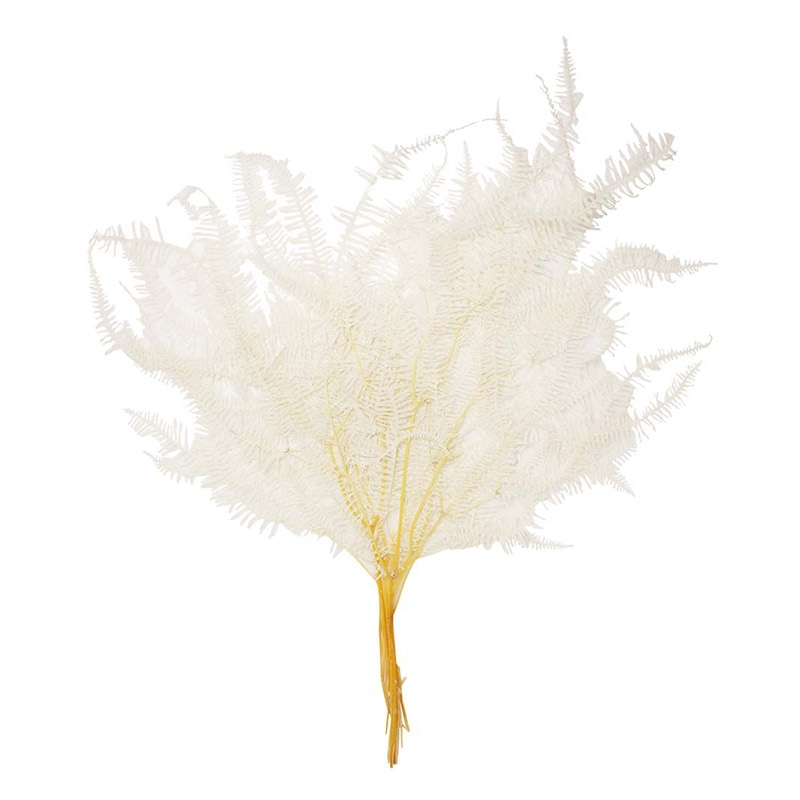 モノ・インターナショナル MONO　プリザーブドフラワー GPKS-01　コシダ ホワイト 1束（ご注文単位1束）【直送品】