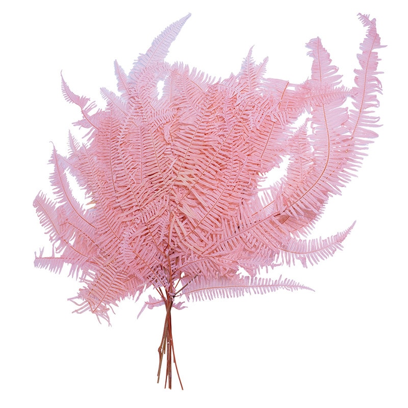 モノ・インターナショナル MONO　プリザーブドフラワー GPKS-02　コシダ ピンク 1束（ご注文単位1束）【直送品】