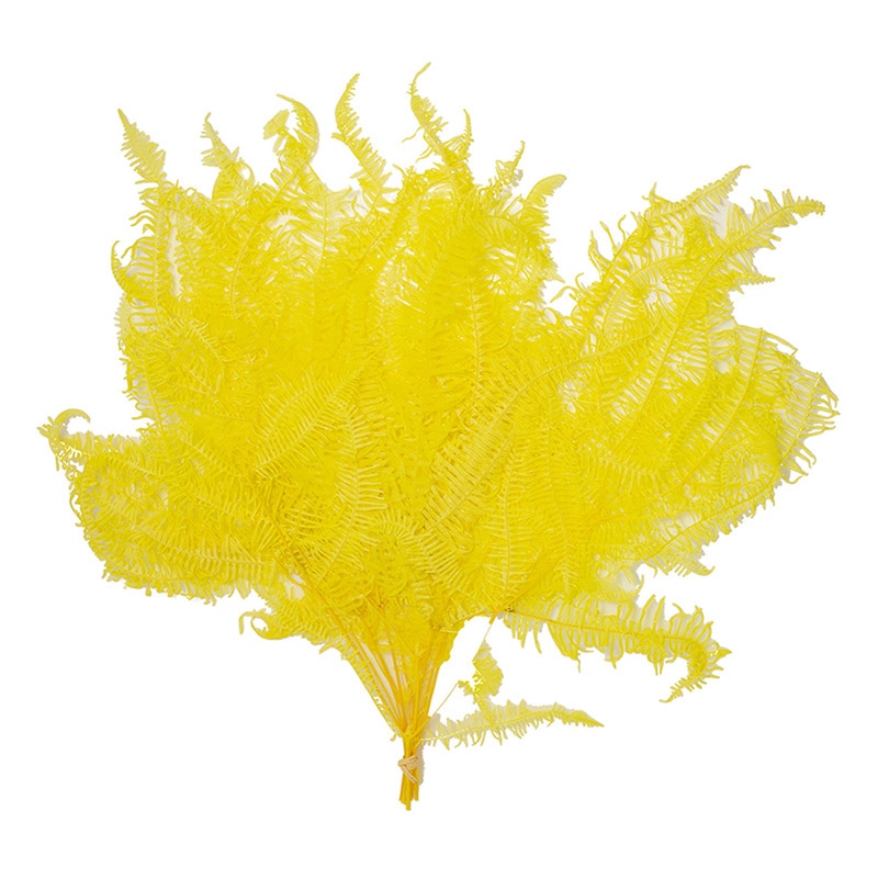 モノ・インターナショナル MONO　プリザーブドフラワー GPKS-03　コシダ イエロー 1束（ご注文単位1束）【直送品】