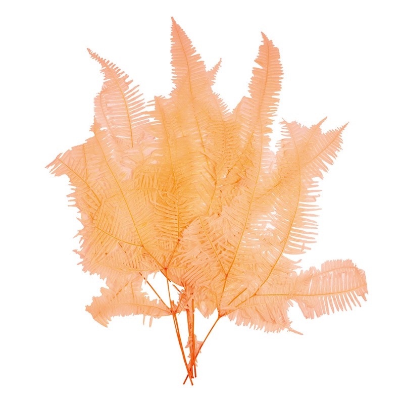 モノ・インターナショナル MONO　プリザーブドフラワー GPKS-06　コシダ ピーチ 1束（ご注文単位1束）【直送品】