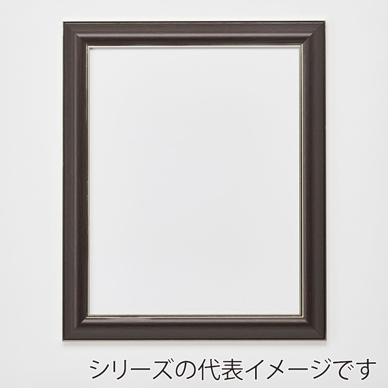 アルナ デッサン額　HVM 三三　606×455mm オークフレーム 1個（ご注文単位1個）【直送品】
