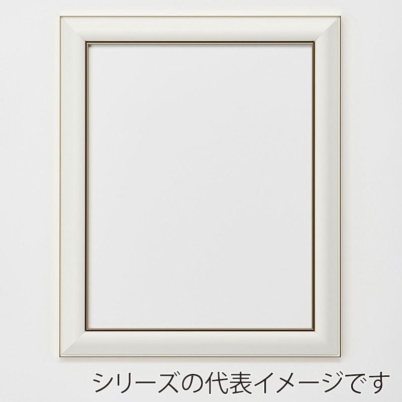 アルナ デッサン額 HVM 全紙 727×545mm ネオホワイトフレーム 1個(ご注文単位1個)【直送品】