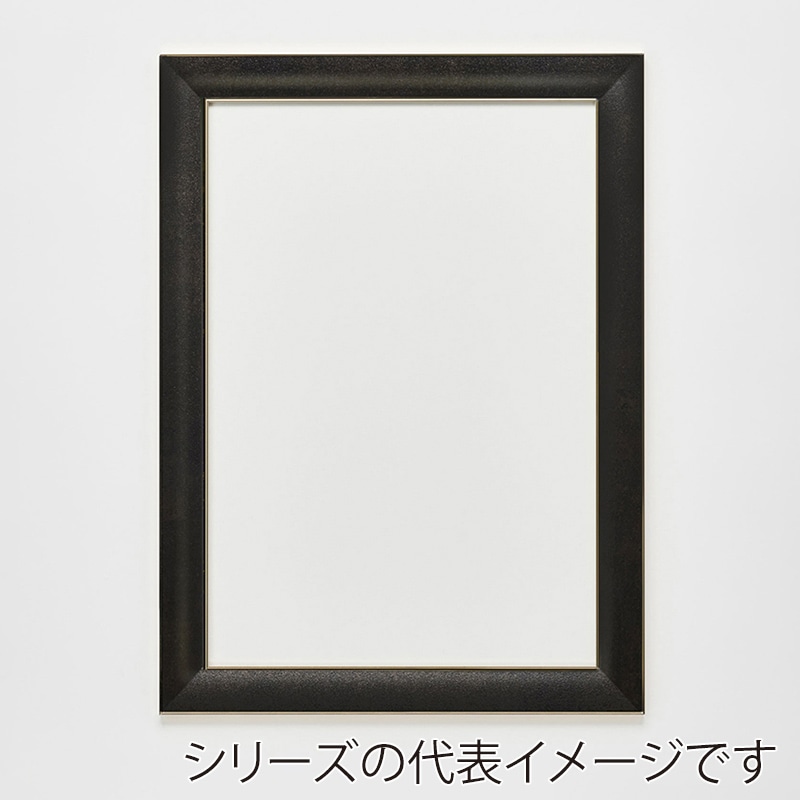 アルナ デッサン額 HVM 大衣 509×394mm 宗達フレーム 1個(ご注文単位1個)【直送品】