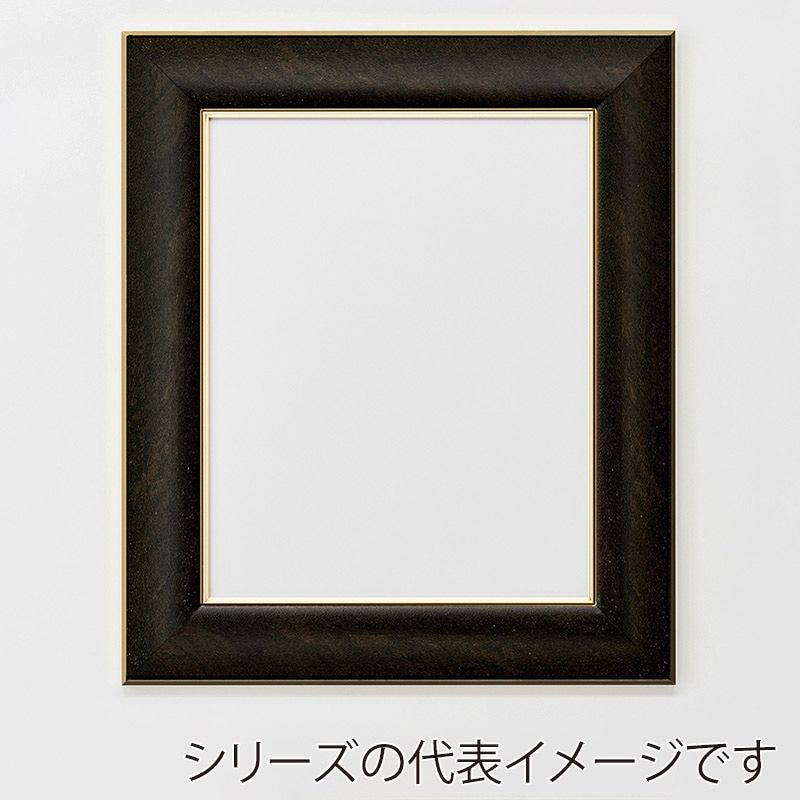 アルナ デッサン額　HVL 八切　303×243mm 宗達フレーム 1個（ご注文単位1個）【直送品】