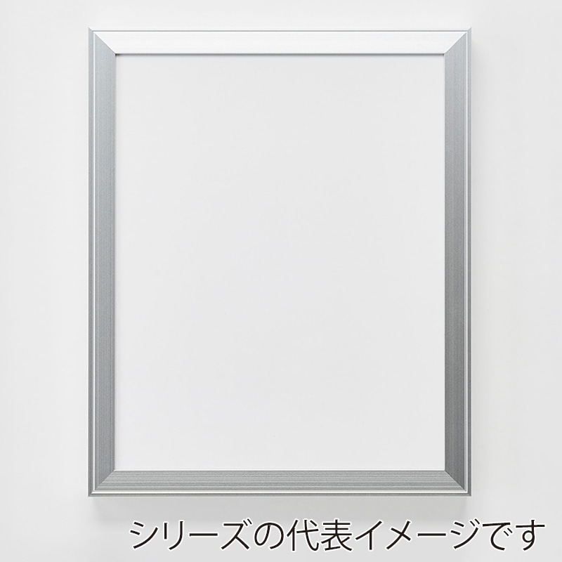 アルナ デッサン額　FW 八切　303×243mm シルバーフレーム 1個（ご注文単位1個）【直送品】