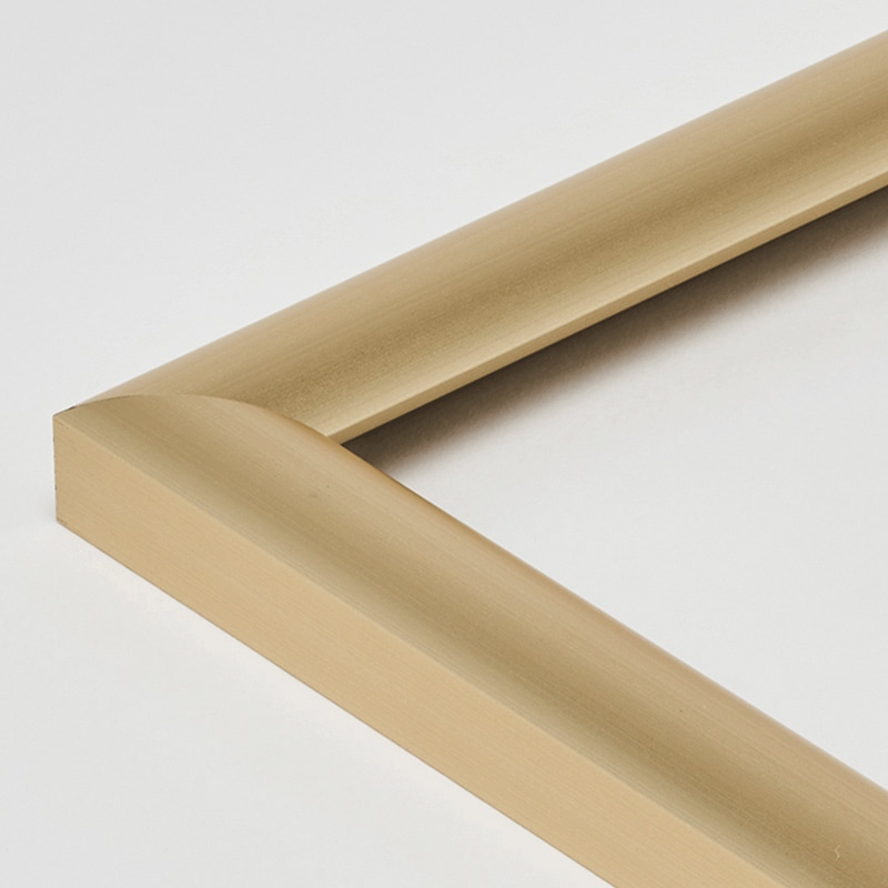 アルナ デッサン・書道額 YFM 太子 379×288mm ゴールドフレーム 1個(ご注文単位1個)【直送品】