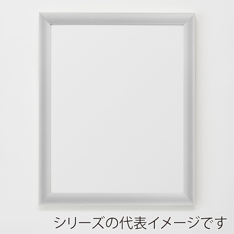 アルナ デッサン・書道額 YFM B-3 515×364mm シルバーフレーム 1個(ご注文単位1個)【直送品】