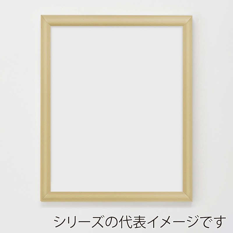 アルナ デッサン・書道額 YFM B-4 364×257mm ゴールドフレーム 1個(ご注文単位1個)【直送品】