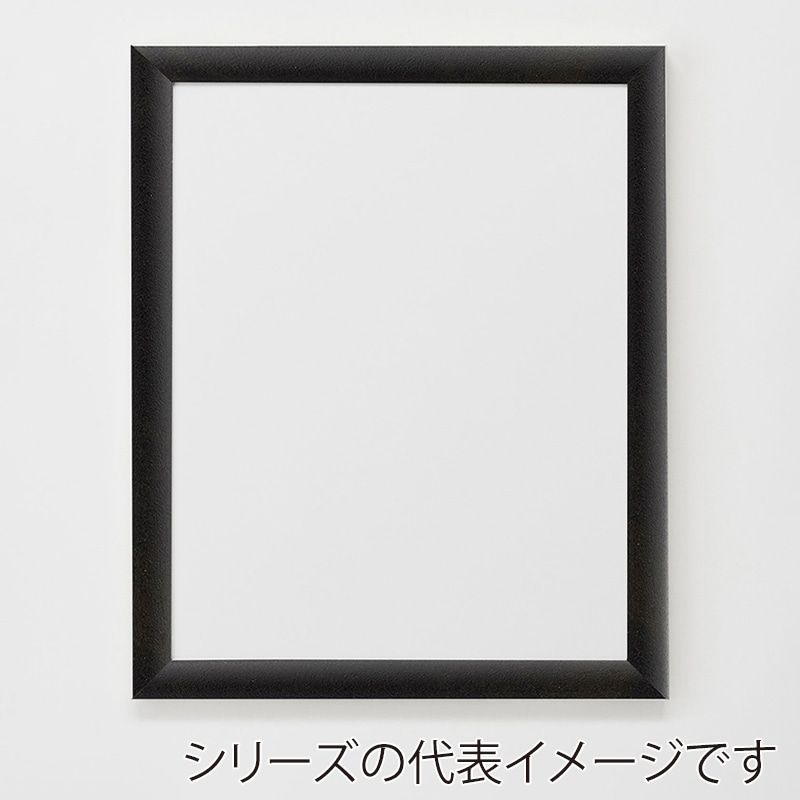 アルナ デッサン・書道額 YFM B-5 257×182mm 宗達フレーム 1個(ご注文単位1個)【直送品】