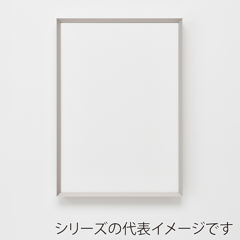 >アルナ デッサン額・ポスターパネル CUT 900角 マットシルバーフレーム 1個(ご注文単位1個)【直送品】