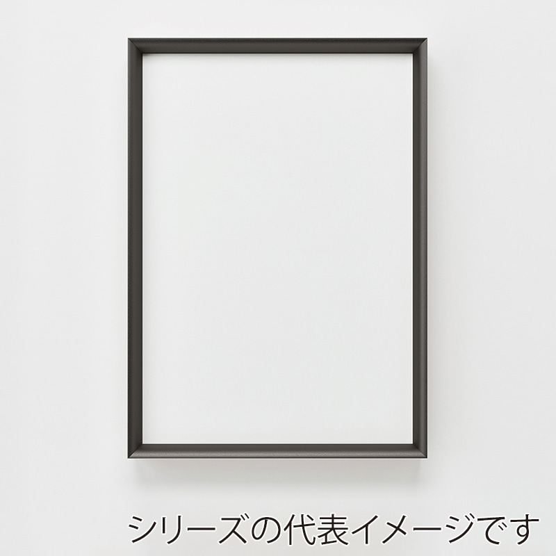 アルナ デッサン額・ポスターパネル　LEAN 八切　303×243mm マットブラックフレーム 1個（ご注文単位1個）【直送品】