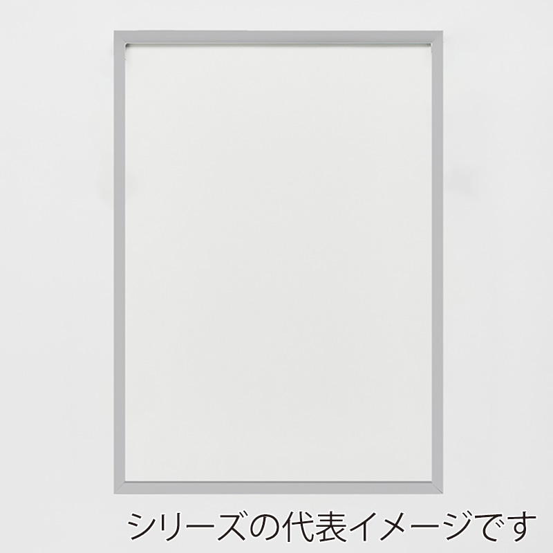 アルナ デッサン額　T25 A-3　420×297mm シルバーフレーム 1個（ご注文単位1個）【直送品】