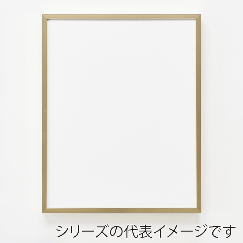 アルナ デッサン額　T25 大判　850×660mm ゴールドフレーム 1個（ご注文単位1個）【直送品】