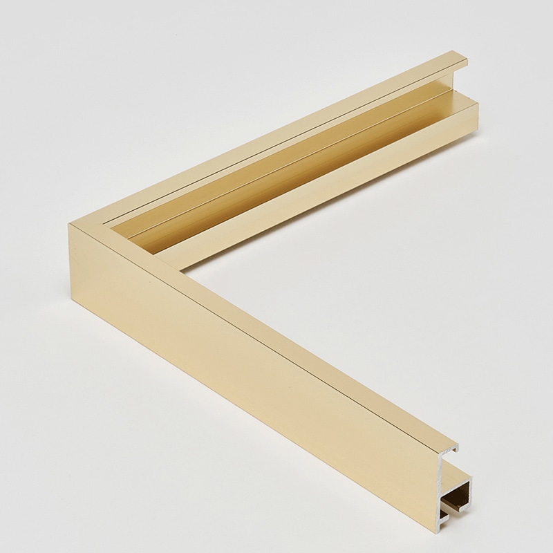 アルナ デッサン額　T25 MO判　900×700mm ゴールドフレーム 1個（ご注文単位1個）【直送品】