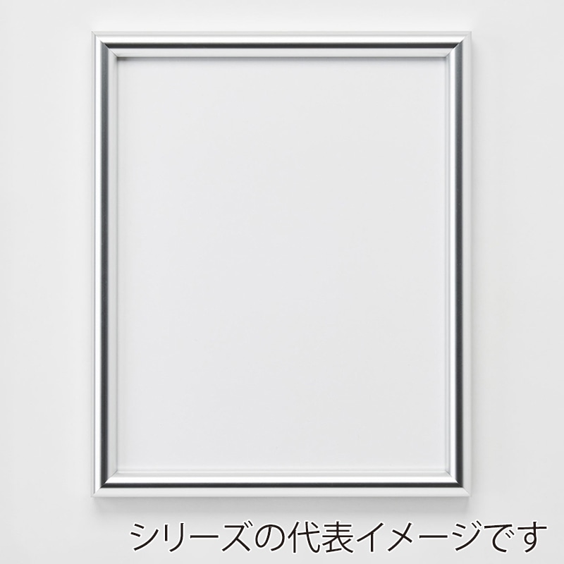 アルナ デッサン額 IC 200角 シルバーフレーム 1個(ご注文単位1個)【直送品】