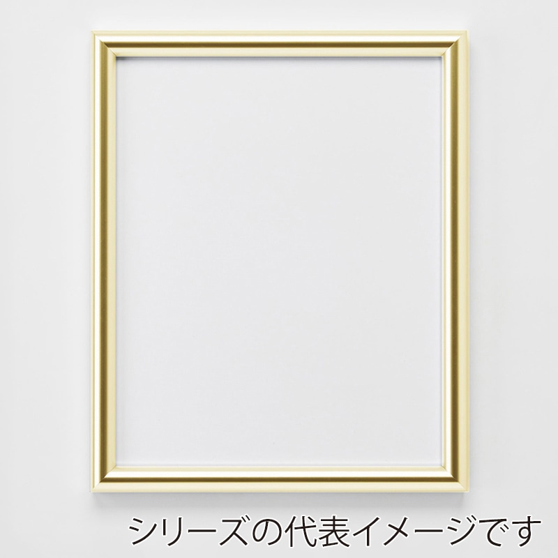 アルナ デッサン額　IC A-5　210×148mm ゴールドフレーム 1個（ご注文単位1個）【直送品】