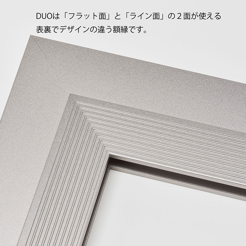アルナ デッサン額 DUO 四切 424×349mm マットシルバーフレーム 1個(ご注文単位1個)【直送品】