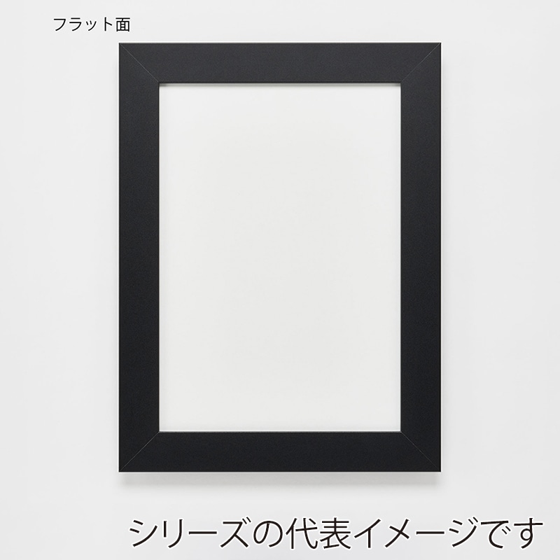 アルナ デッサン額　DUO 全紙　727×545mm マットブラックフレーム 1個（ご注文単位1個）【直送品】