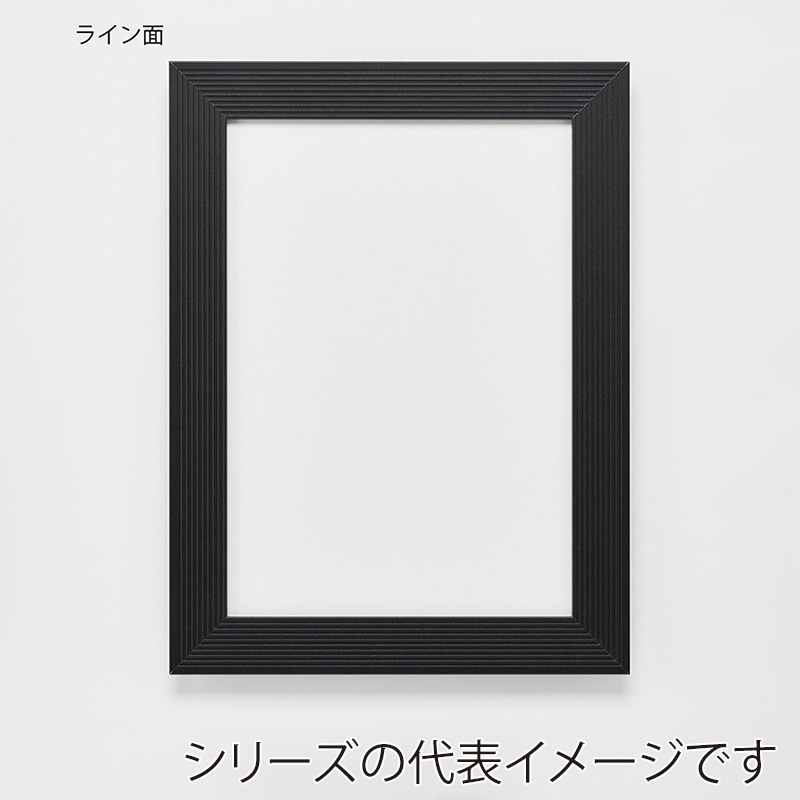 アルナ デッサン額 DUO 500×250 マットブラックフレーム 1個(ご注文単位1個)【直送品】