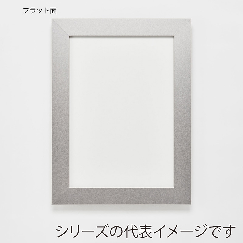 アルナ デッサン額　DUO　両面アクリル 8×10インチ　254×203mm マットシルバーフレーム 1個（ご注文単位1個）【直送品】