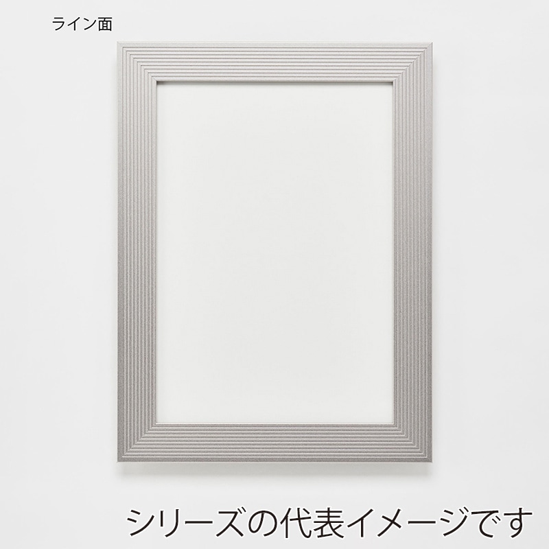 アルナ デッサン額　DUO　両面アクリル 三三　606×455mm マットシルバーフレーム 1個（ご注文単位1個）【直送品】