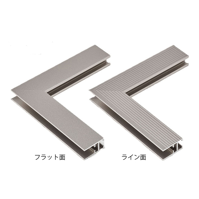 アルナ デッサン額 DUO 両面アクリル 250角 マットシルバーフレーム 1個(ご注文単位1個)【直送品】