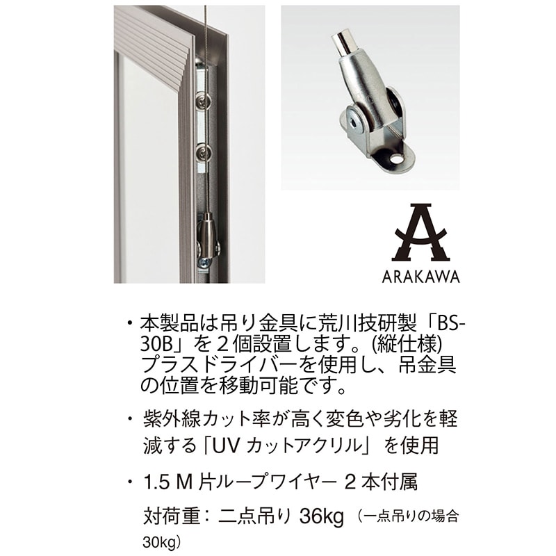 アルナ デッサン額 DUO 両面アクリル 250角 マットシルバーフレーム 1個(ご注文単位1個)【直送品】