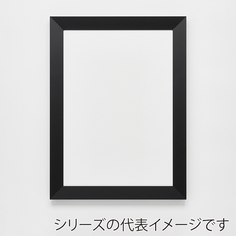 アルナ デッサン額・ポスターパネル SLICE ポスターC 802×602mm マットブラックフレーム 1個(ご注文単位1個)【直送品】