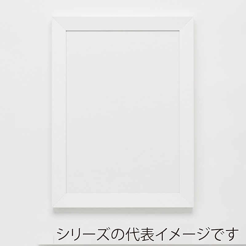 アルナ デッサン額・ポスターパネル SLICE 600×300 ホワイトフレーム 1個(ご注文単位1個)【直送品】