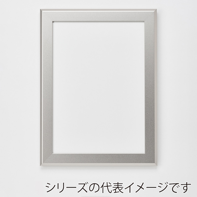 アルナ デッサン額・ポスターパネル　FILLET 全紙　727×545mm マットシルバーフレーム 1個（ご注文単位1個）【直送品】