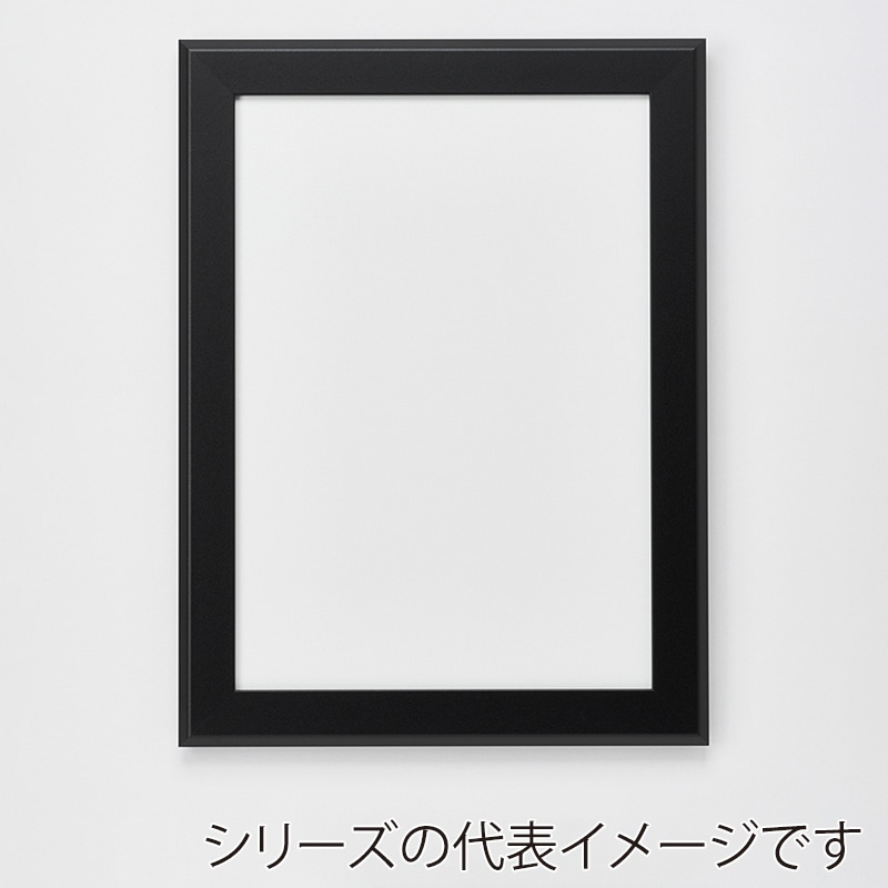 アルナ デッサン額・ポスターパネル　FILLET 八切　303×243mm マットブラックフレーム 1個（ご注文単位1個）【直送品】