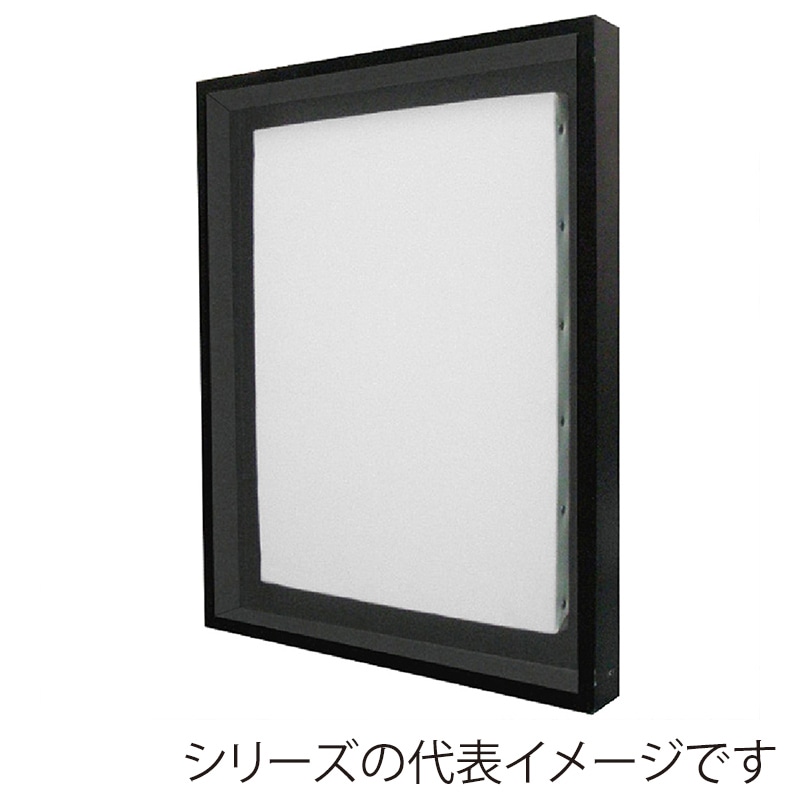 アルナ 仮縁　コア F-15　652×530mm ブラックフレーム 1個（ご注文単位1個）【直送品】