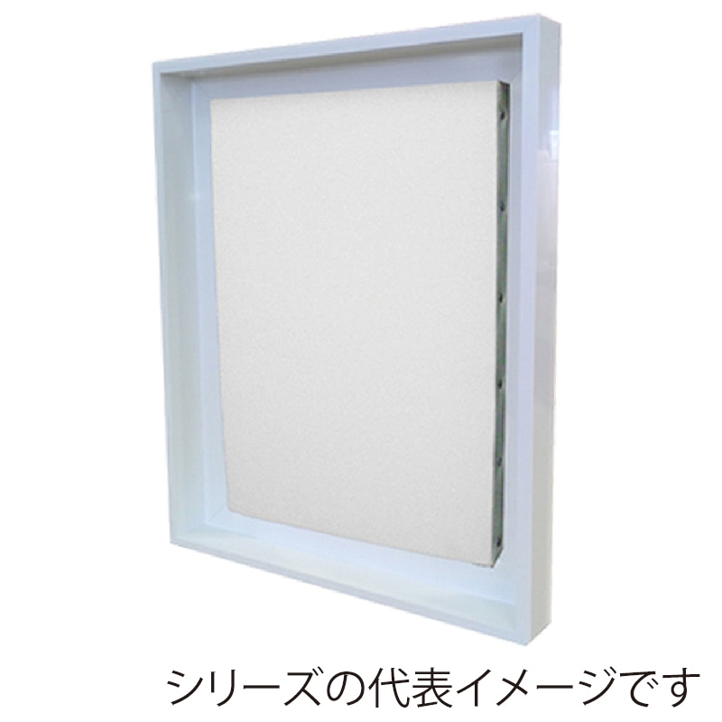 アルナ 仮縁　コア F-12　606×500mm ホワイトフレーム 1個（ご注文単位1個）【直送品】