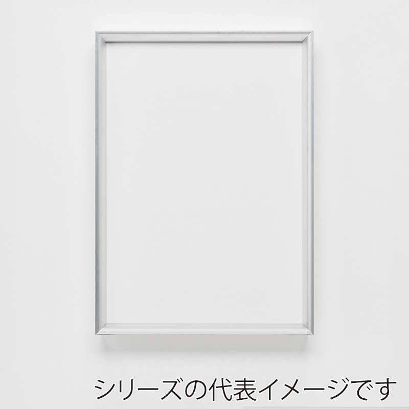 アルナ デッサン額・ポスターパネル　LEAN B2　728×515mm 生材フレーム 1個（ご注文単位1個）【直送品】
