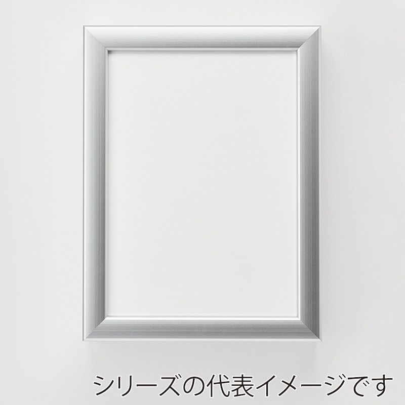 アルナ コレクションケース・仮縁　ボルドー M-10　530×333mm シルバーフレーム 1個（ご注文単位1個）【直送品】