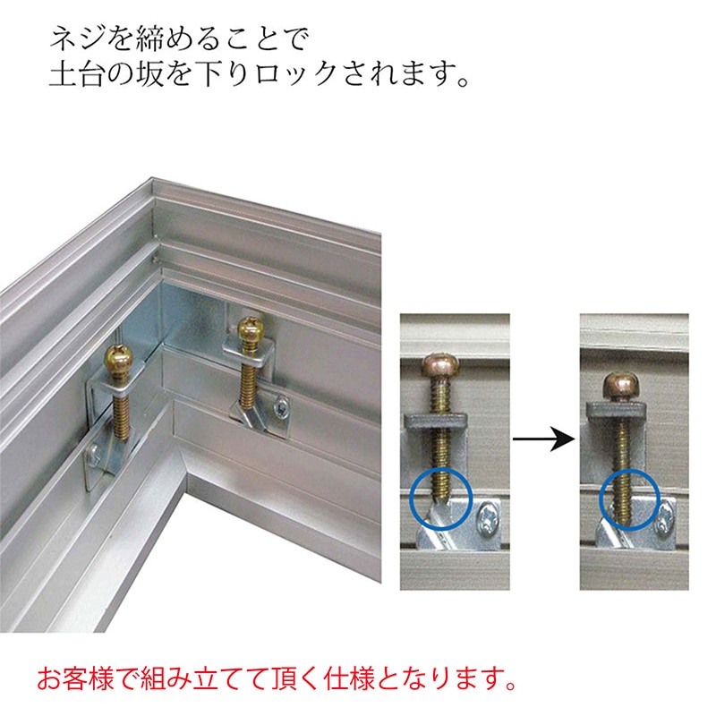 アルナ コレクションケース・仮縁　ボルドー F-6　409×318mm ビターフレーム 1個（ご注文単位1個）【直送品】