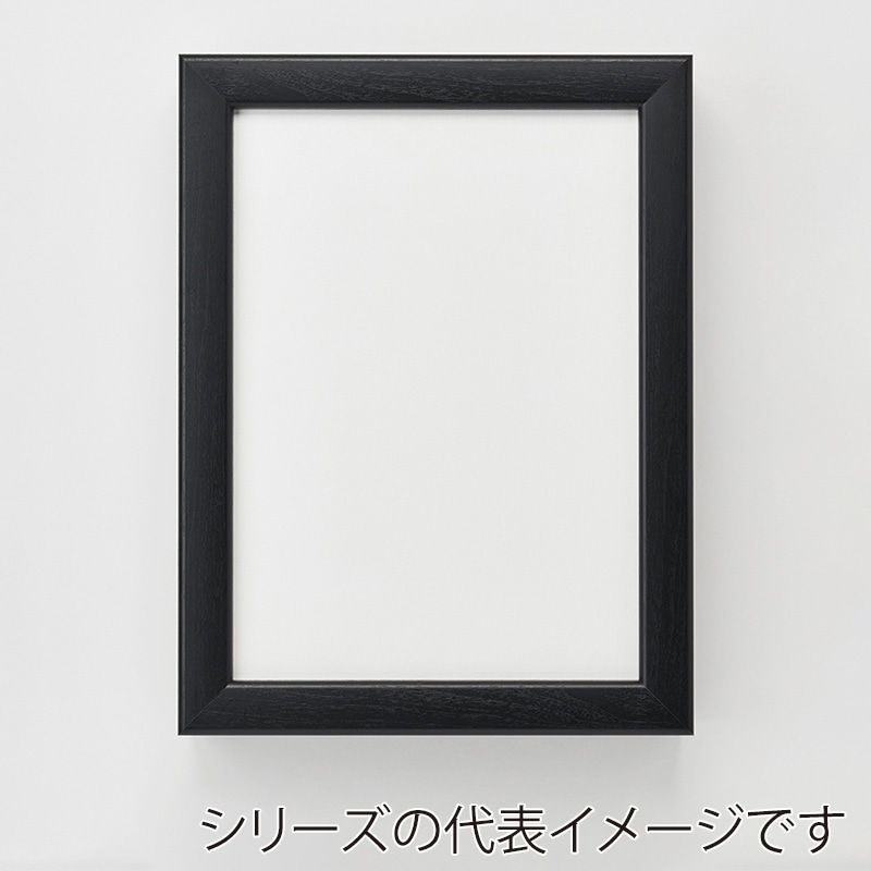 アルナ コレクションケース・仮縁　ボルドー F-40　1000×803mm ビターフレーム 1個（ご注文単位1個）【直送品】