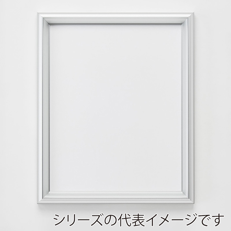 アルナ デッサン額　クレア A-0　1189×841mm シルバーフレーム 1個（ご注文単位1個）【直送品】