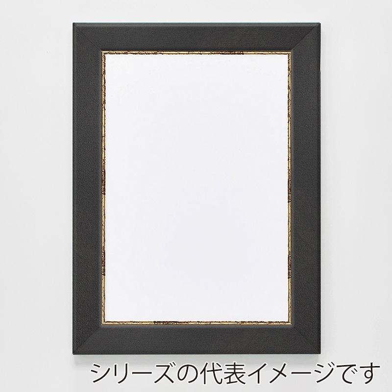 アルナ デッサン額　CF　面金付き MO判　900×700mm 宗達フレーム 1個（ご注文単位1個）【直送品】