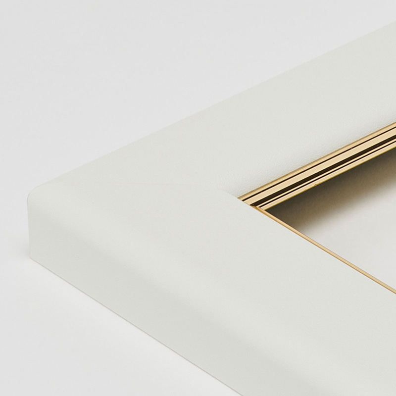 アルナ デッサン額 CF 面金付き 大衣 509×394mm ネオホワイトフレーム 1個(ご注文単位1個)【直送品】