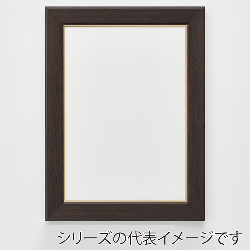 アルナ デッサン額　CF　面金付き 大衣　509×394mm オークフレーム 1個（ご注文単位1個）【直送品】