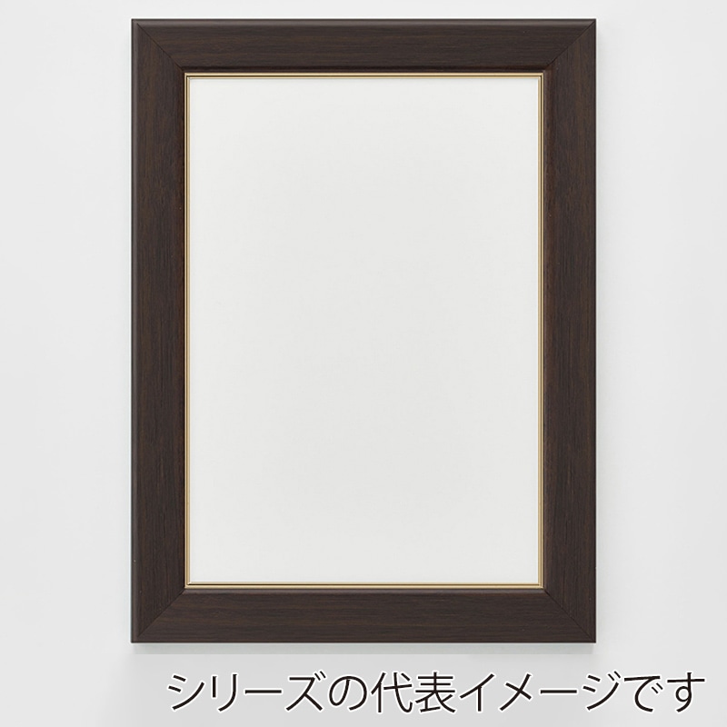 アルナ デッサン額　CF　面金付き A-0　1189×841mm オークフレーム 1個（ご注文単位1個）【直送品】