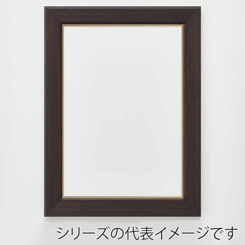 アルナ デッサン額　CF　面金付き B-4　364×257mm オークフレーム 1個（ご注文単位1個）【直送品】