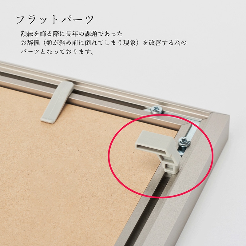 アルナ デッサン額 CF 面金付き 三三 606×455mm ビターフレーム 1個(ご注文単位1個)【直送品】