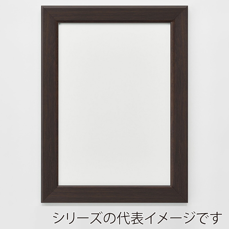アルナ デッサン額　CF 大判　850×660mm ビターフレーム 1個（ご注文単位1個）【直送品】